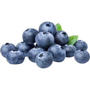 Organic Blueberries – Fresh Vegan Organic Blueberry Dubai – UAE