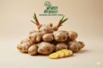 Organic Ginger – Fresh Ginger Root Dubai – Vegan Organic UAE