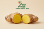 Fresh organic ginger root from Vegan Organic Dubai
